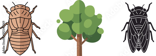 Cicada insect life cycle stages shown with tree and two distinct cicada illustrations