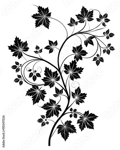 a black silhouette of a vine with flowers on white background PNG.AI Generated.