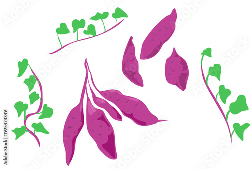 さつまいもとつるのイラスト/Vector illustration of Sweet Potatoes and Cranes