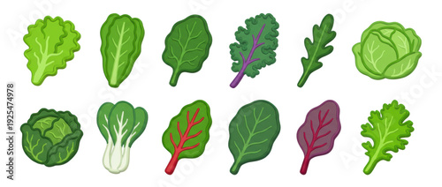 Leafy green vegetables and salad greens icons set featuring various types of lettuce, cabbage, kale, and spinach in a vibrant, stylized cartoon illustration style for healthy food concepts