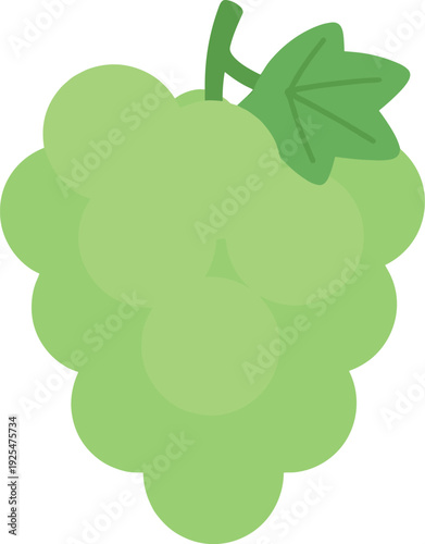 Illustration of light green grapes with stem and leaf on white background