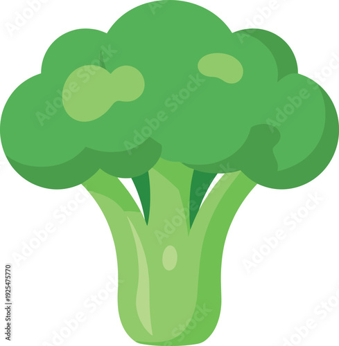 Illustration of a single green broccoli floret on a white background