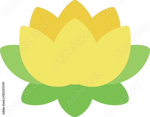 Simple yellow lotus flower with green leaves isolated on white background