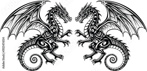 Twin fantasy dragons with spread wings detailed black and white vector illustration isolated on white background mythic creature artwork