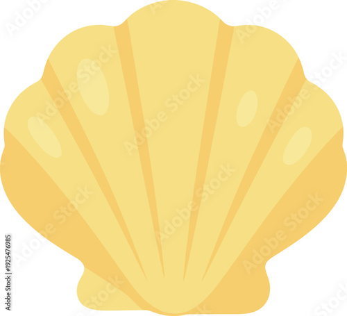Single yellow scallop shell with textured surface sits on white backdrop