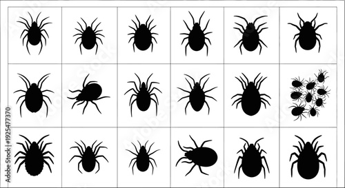 Collection of various spider silhouettes on white background for design and decoration