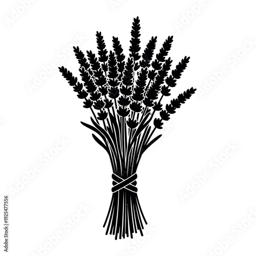 Lavender Bouquet Silhouette Illustration 1.