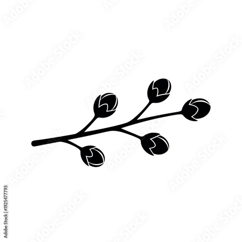 Minimalist botanical branch with closed flower buds.