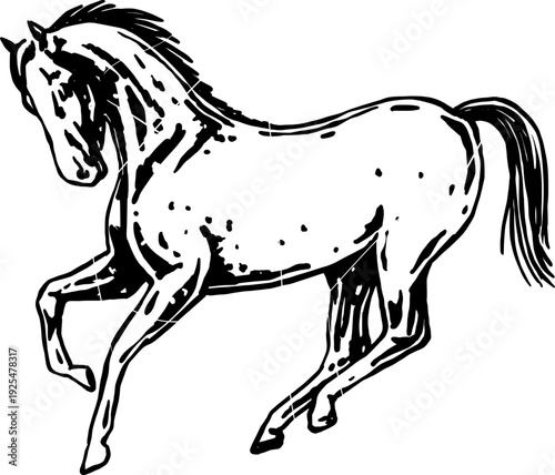 A retro or vintage-style horse sketch. Perfect for your design needs.