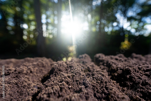 Fotografie Soil and organic fertilizer concept