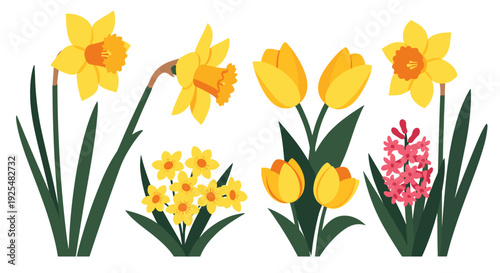 A colorful vector illustration of various spring flowers in a minimalist design style