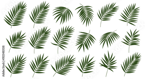Green Palm Sunday Tropical Fronds for Christian Celebration and Holy Week Observance Design