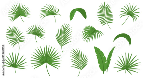 Vibrant Palm Sunday Leaves Collection Tropical Foliage Elements for Religious Holiday Design