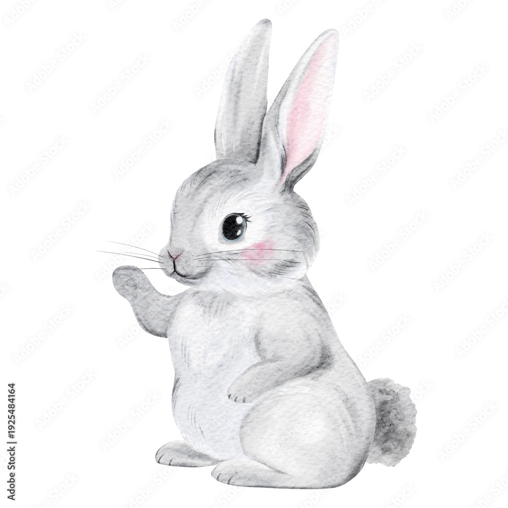 Fototapeta premium Cute Grey Watercolor Bunny Isolated on White