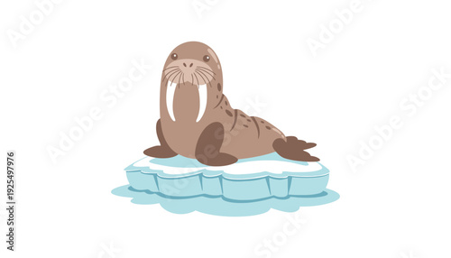 A walrus cartoon illustration sitting on a melting ice floe in water