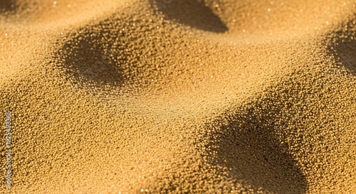 Close-up of golden sand dunes with sunlight Keywords: sand, dunes, desert, beach, texture