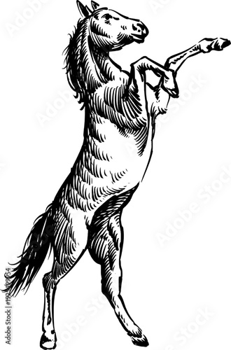 A retro or vintage-style horse sketch. Perfect for your design needs.