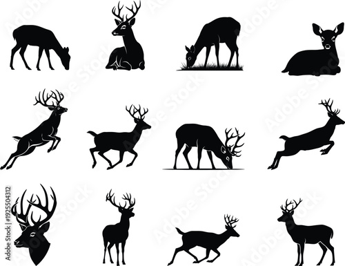 Deer silhouettes at sunset with various poses and a landscape photo silhouette