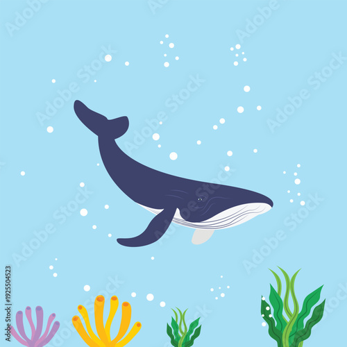 Background of blue whale in the sea. coral reef and seaweed