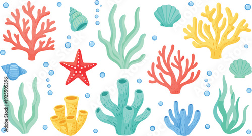 Colorful Underwater Sea Life Vector Set with Coral Reef, Starfish, Seashells, Seaweed, and Marine Elements