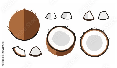 Minimal flat coconut fruit vector icon set