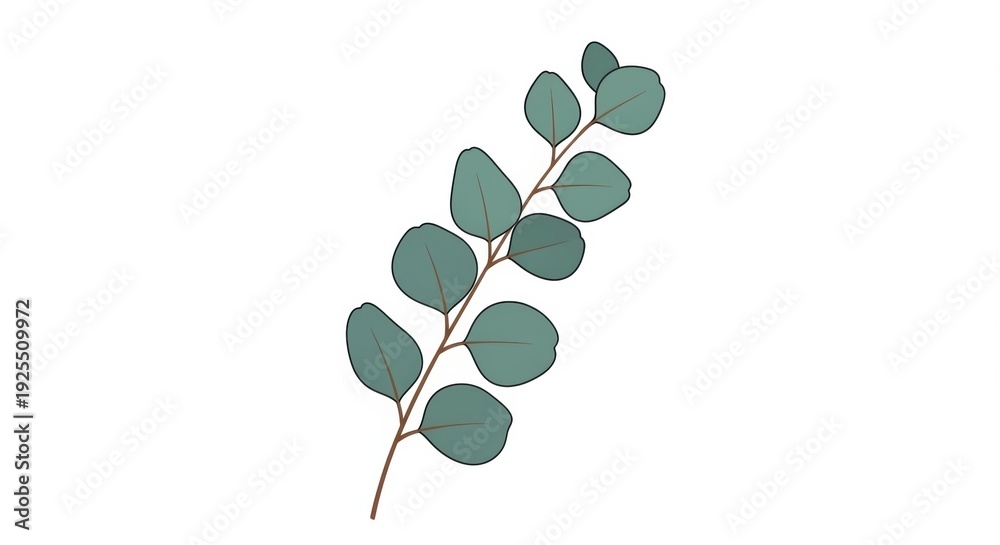 Obraz premium Minimalist illustration of a eucalyptus branch with round blue-green leaves and a brown stem on a light background.