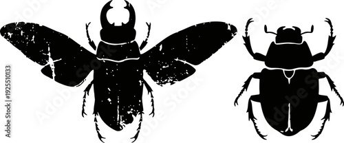 silhouettes of beetles two black insect shapes with detailed wings and body structures
