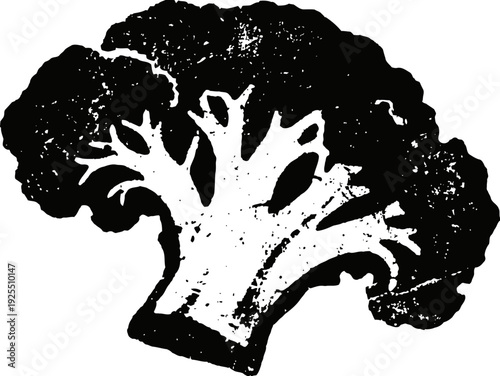 Vintage broccoli illustration hand drawn vegetable sketch, black and white botanical art healthy food design concept