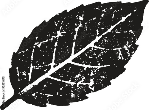 Black grunge leaf silhouette with detailed veins textured design isolated on white background