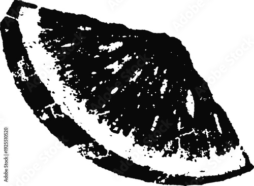Black and white citrus fruit slice illustration with high contrast texture detail