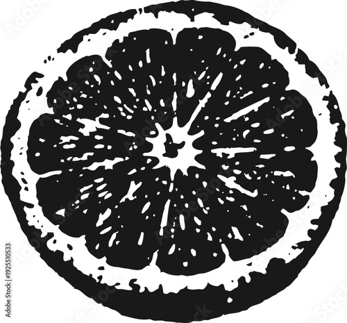 Black and white citrus fruit slice illustration grapefruit or orange round cross section close up design