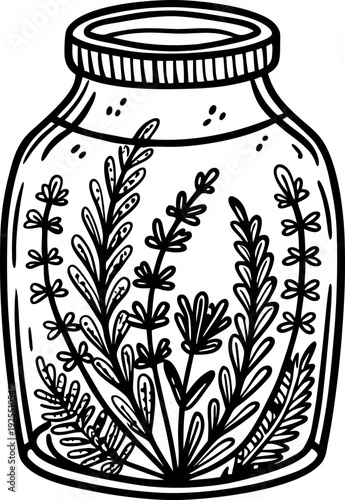 Herbs in a glass jar hand drawn botanical jar clipart with various leaves and plants