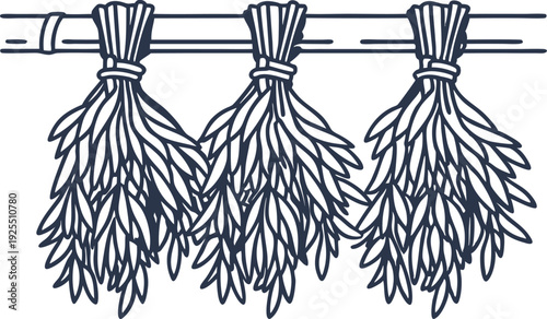 Bundles of herbs hanging to dry on a string, natural organic plant preservation