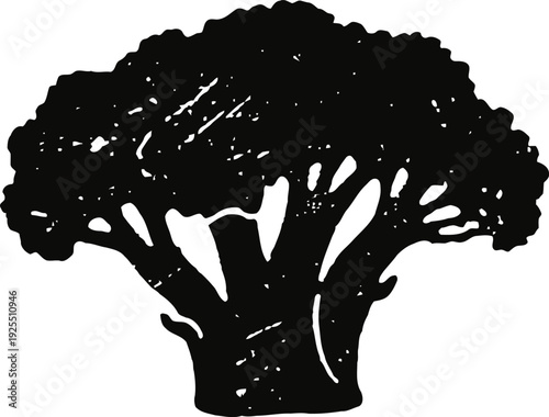 Broccoli vegetable black silhouette isolated on white background healthy fresh food illustration