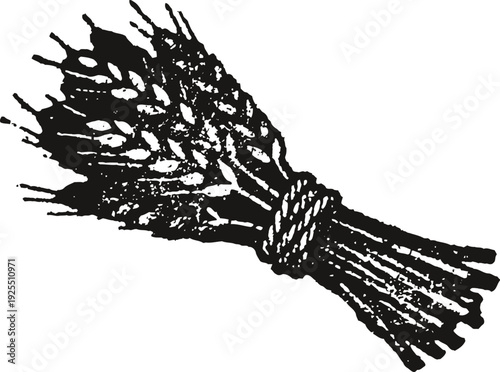 Vintage wheat sheaf bundle tied with rope agricultural harvest symbol, rustic natural crop illustration