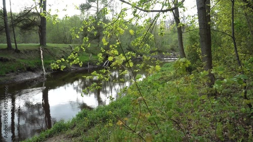 Wallpaper Mural A tranquil forest river winds through lush spring vegetation. Tall trees with fresh leaves obscure the view of the calm water, reflecting sky and greenery along wild, grassy riverbanks.  Torontodigital.ca