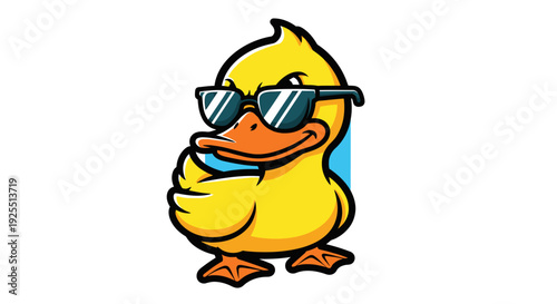 Photography Cartoon Duck Wearing Sunglasses Illustration.