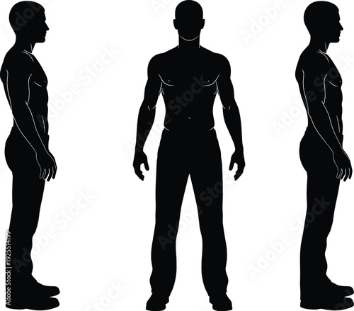 Anatomy of athletic man silhouettes, front and side view, shirtless male physique, fitness body representation, health and medical illustration, human figure vector,
