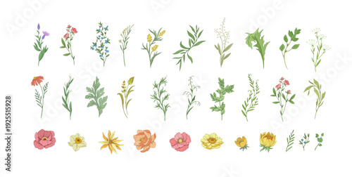 Floral set with colorful wild flowers and elegant branch. Botanical foliage for wedding invitation or wall art. Vector illustration. Luxury colorful art