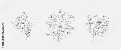 Botanic set of detailed various flowers and brunch. Luxury vintage floral collection for wedding invitation, wallpaper art or save the date card. Botanical vector illustration