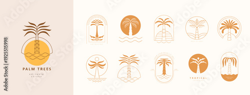 Set of simple geometric palm tree icon or logo designs. Summer tropical design elements and vacation emblems for resort, travel and beauty
