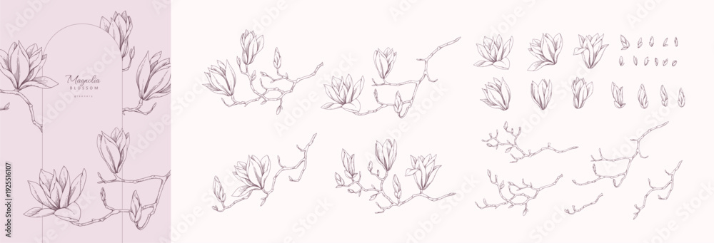 Obraz premium Set of magnolia blooming, flowers and brunch. Spring Detailed background with botanic floral elements for Valentines day invitation, wallpaper art or save the date card