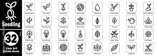 Seedling development line icons. Botanical and ecological design vector illustration.