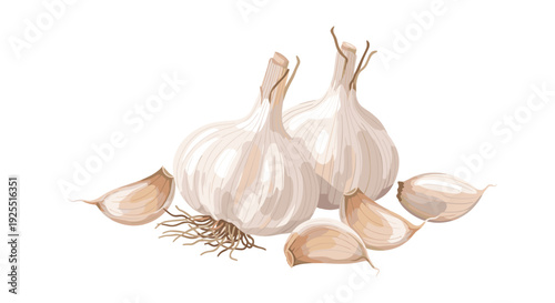Two whole garlic heads with roots and several detached cloves are clustered together in a detailed vector drawing on a white background.