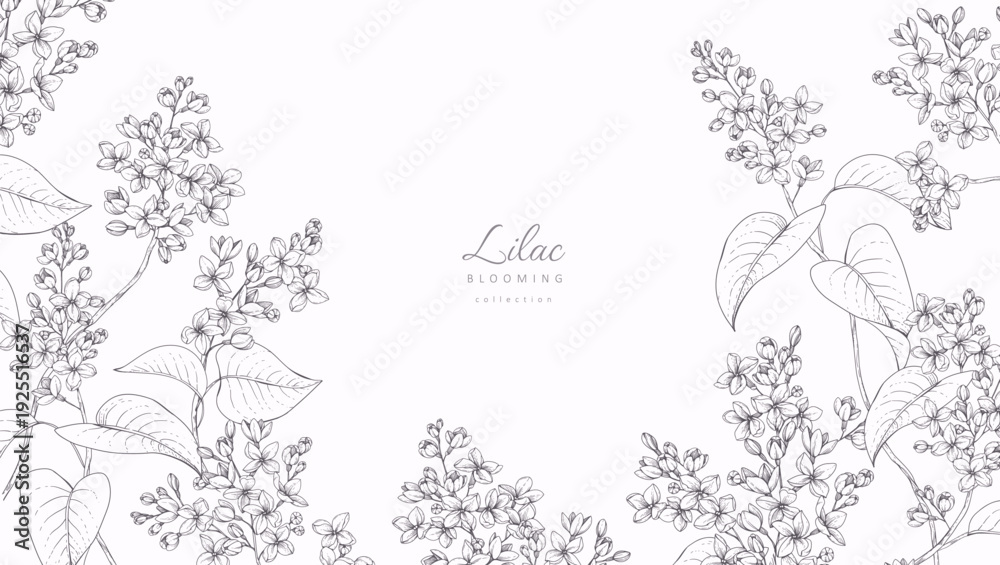 Obraz premium Lilac blooming. Spring background with flowers and brunch. Detailed botanic hand drawn ink illustration for Mothers Day invitation or wedding save the date card