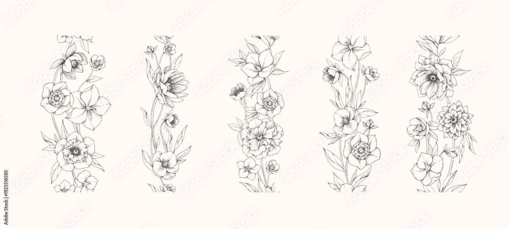 Fototapeta premium Hellebore flowers seamless border with detailed various foliage, intricate details and delicate forms. Elegant floral design elements. Hand drawn illustration
