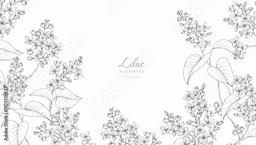 Lilac blooming. Spring background with flowers and brunch. Detailed botanic hand drawn ink illustration for Mothers Day invitation or wedding save the date card