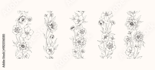 Hellebore flowers seamless border with detailed various foliage, intricate details and delicate forms. Elegant floral design elements. Hand drawn illustration