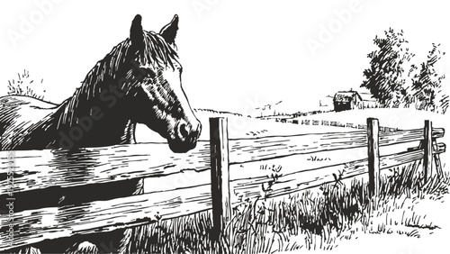 Horse head near wooden fence rural field. Farm animal looking across countryside agricultural land. Banner for livestock design. Crayon drawn ink line illustration style.