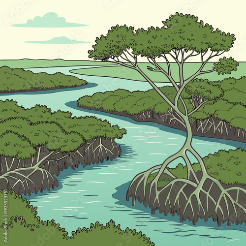 Expansive mangrove forest with unique aerial roots growing into a winding river, illustrating the vibrant ecosystem of a tropical wetland.